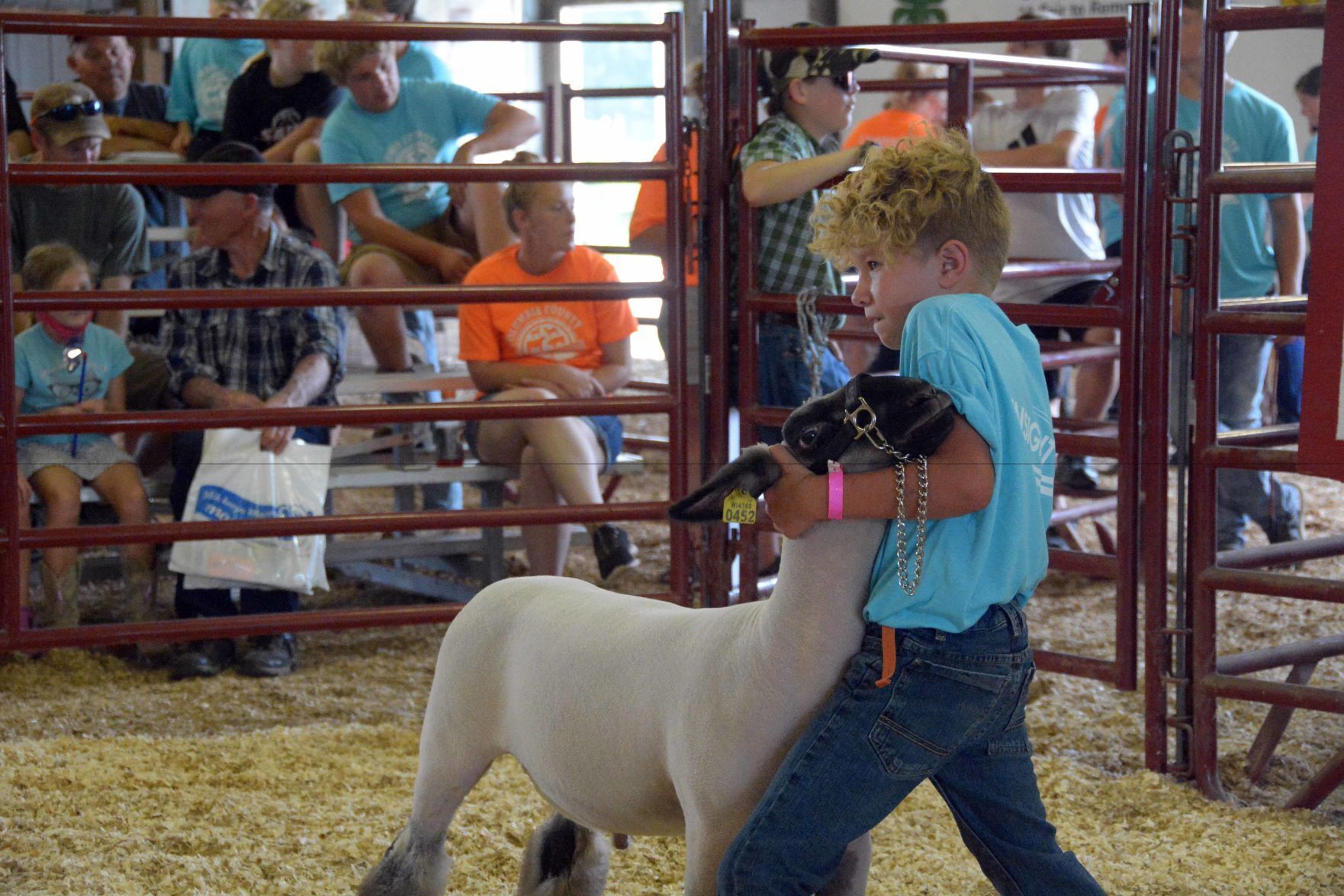 Saturday at the Columbia County Fair